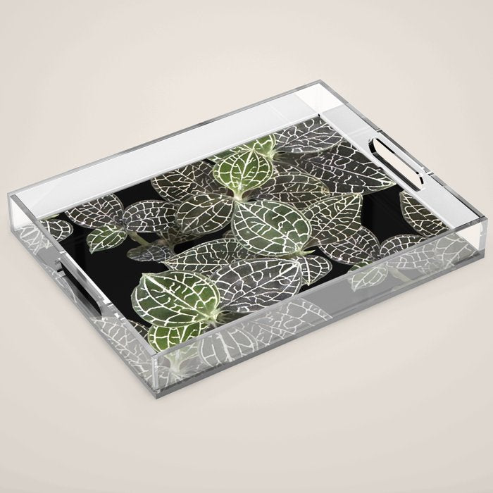 Elegant leaf skeleton foliage on black Acrylic Tray Gallery Image 1