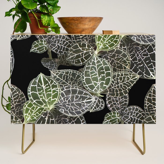 Elegant leaf skeleton foliage on black Credenza Gallery Image 1
