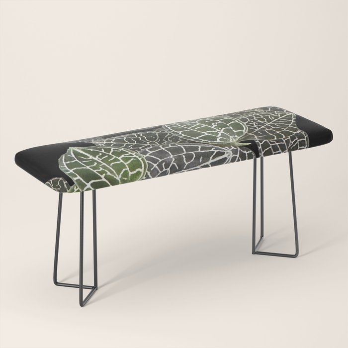 Elegant leaf skeleton foliage on black Bench Gallery Image 1
