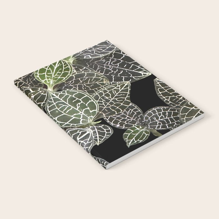 Elegant leaf skeleton foliage on black Notebook Gallery Image 1