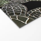Elegant leaf skeleton foliage on black Welcome Mat Gallery Image 2