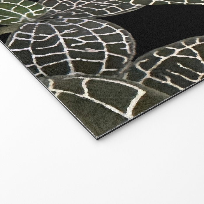 Elegant leaf skeleton foliage on black Welcome Mat Gallery Image 2