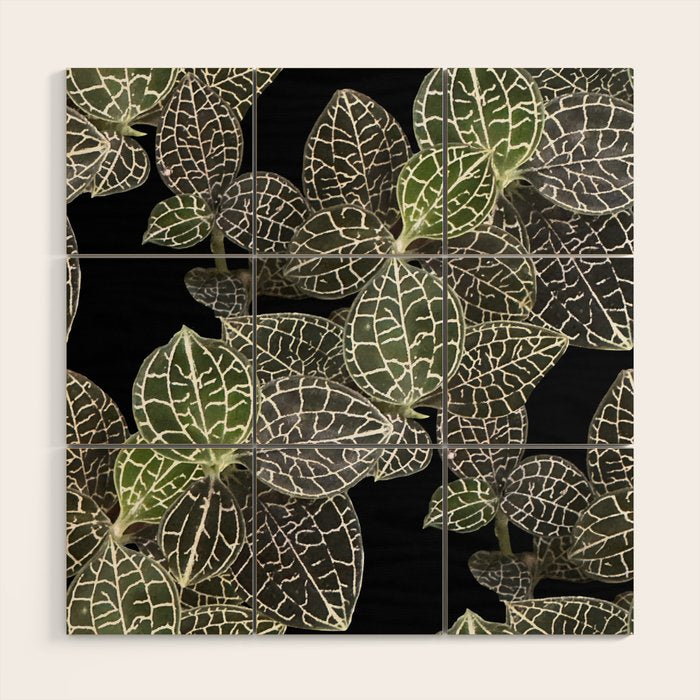 Elegant leaf skeleton foliage on black Wood Wall Art Gallery Image 1