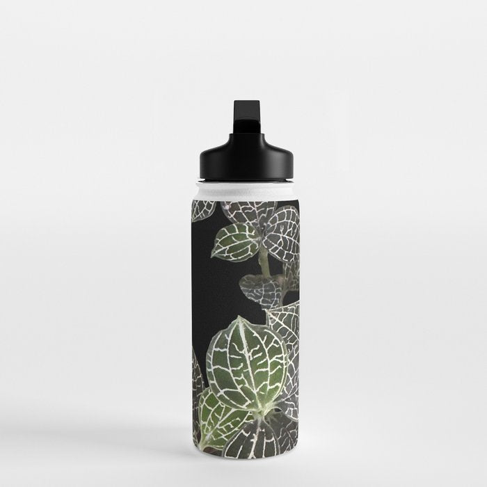 Elegant leaf skeleton foliage on black Water Bottle Gallery Image 3