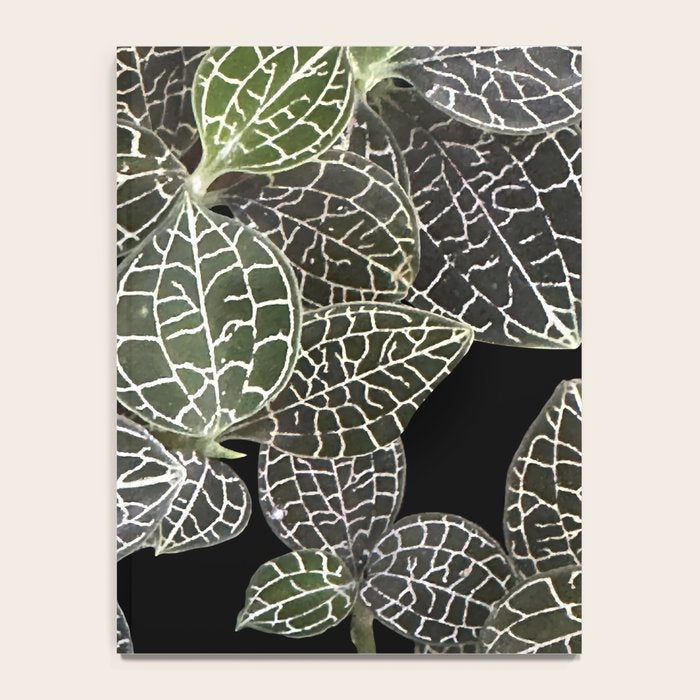 Elegant leaf skeleton foliage on black Notebook Gallery Image 4