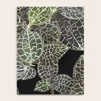 Elegant leaf skeleton foliage on black Notebook Gallery Image 4