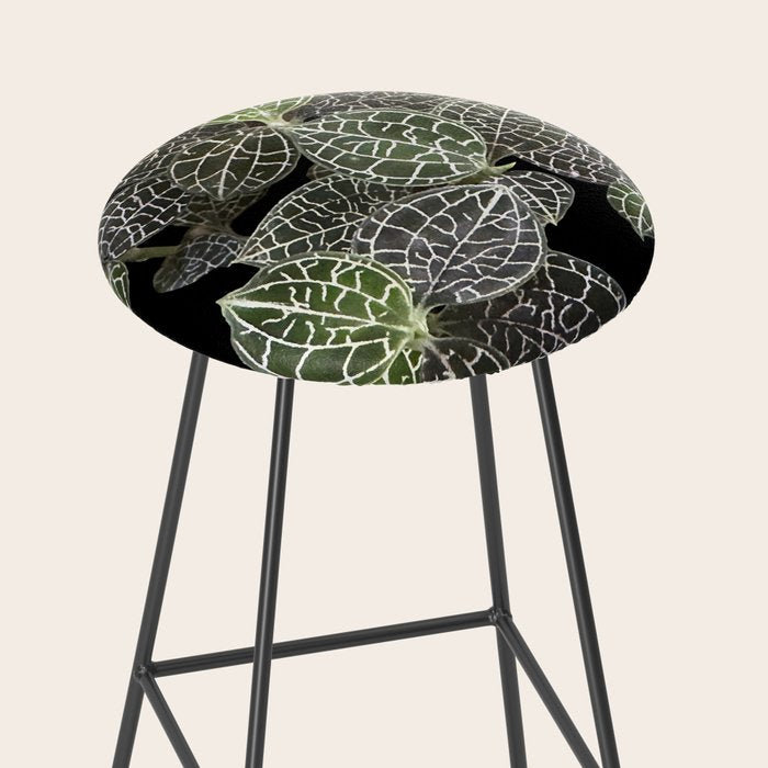 Elegant leaf skeleton foliage on black Stool Gallery Image 2