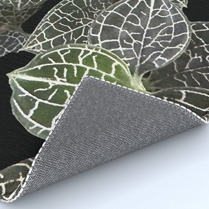 Elegant leaf skeleton foliage on black Rug Gallery Image 4
