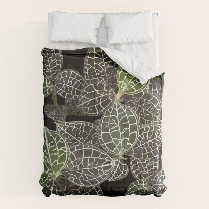 Elegant leaf skeleton foliage on black Comforter Gallery Image 6