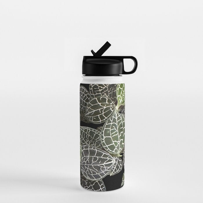Elegant leaf skeleton foliage on black Water Bottle Gallery Image 1