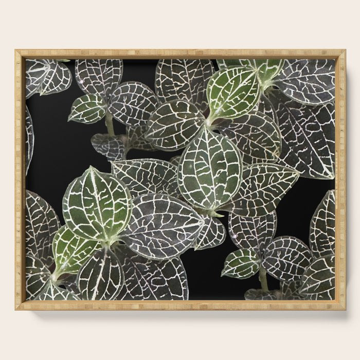 Elegant leaf skeleton foliage on black Serving Tray Gallery Image 1