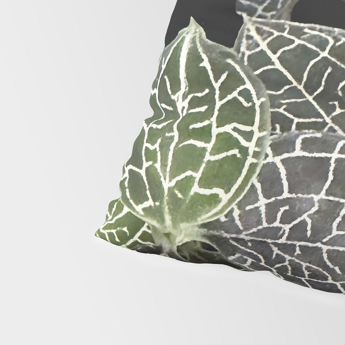 Elegant leaf skeleton foliage on black Pillow Sham Gallery Image 4