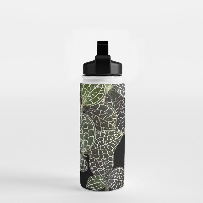 Elegant leaf skeleton foliage on black Water Bottle Gallery Image 2