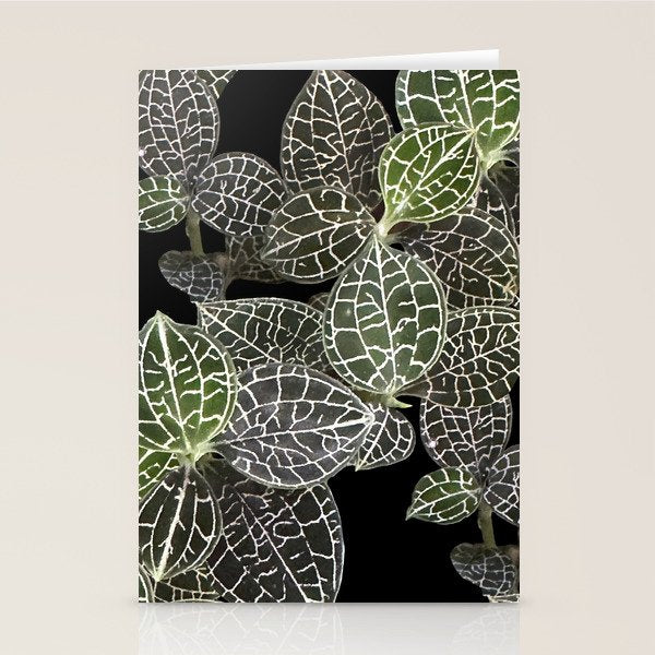 Elegant leaf skeleton foliage on black Stationery Card Gallery Image 1