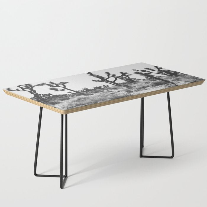 JOSHUA TREE IX / California Desert Coffee Table Gallery Image 1