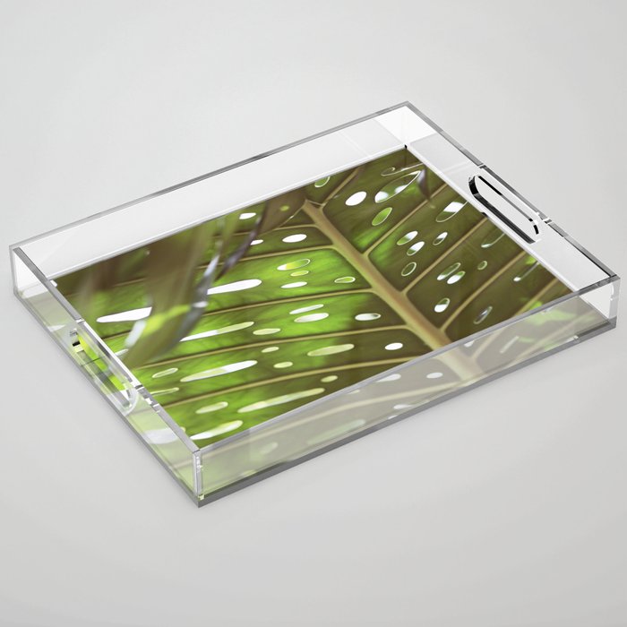 Tropic Light Acrylic Tray Gallery Image 1