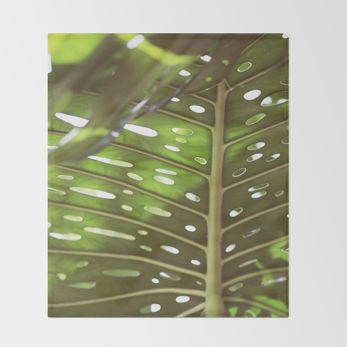 Tropic Light Throw Blanket Gallery Image 2