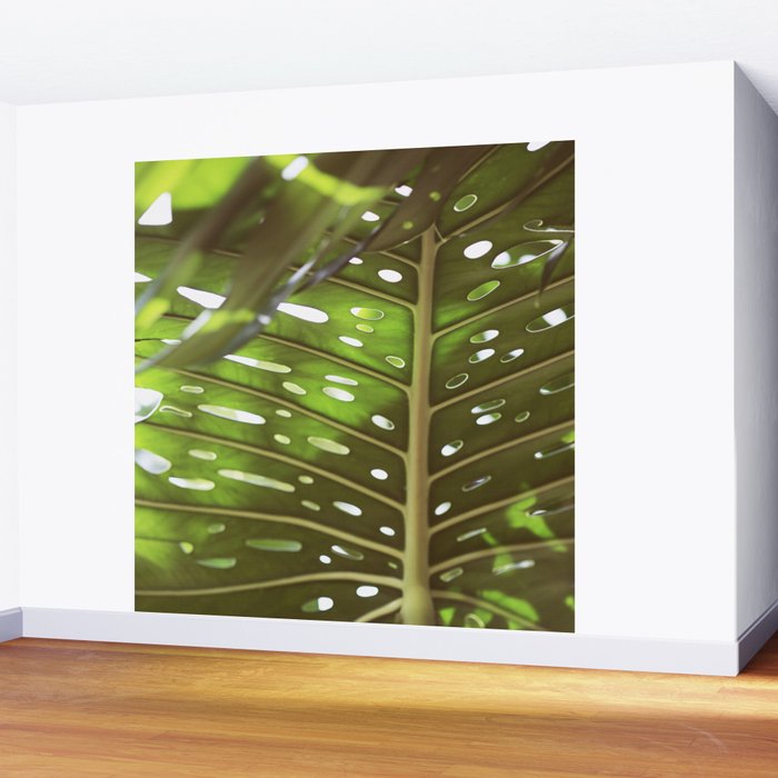 Tropic Light Wall Mural Gallery Image 2