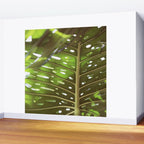 Tropic Light Wall Mural Gallery Image 2