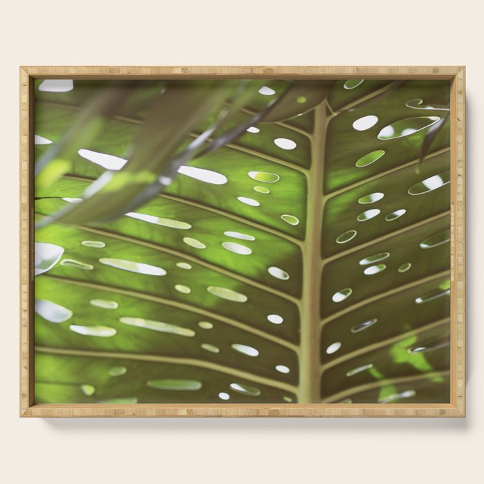 Tropic Light Serving Tray Gallery Image 1