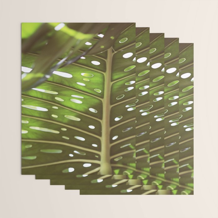 Tropic Light Wrapping Paper Gallery Image 3