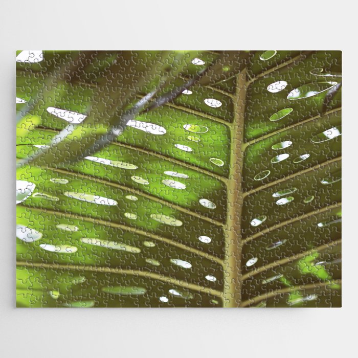 Tropic Light Jigsaw Puzzle Gallery Image 1