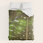 Tropic Light Comforter Gallery Image 6