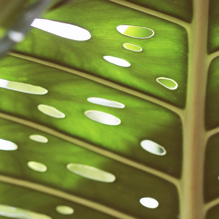 Tropic Light Coffee Mug Gallery Image 2
