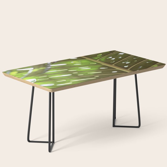 Tropic Light Coffee Table Gallery Image 1