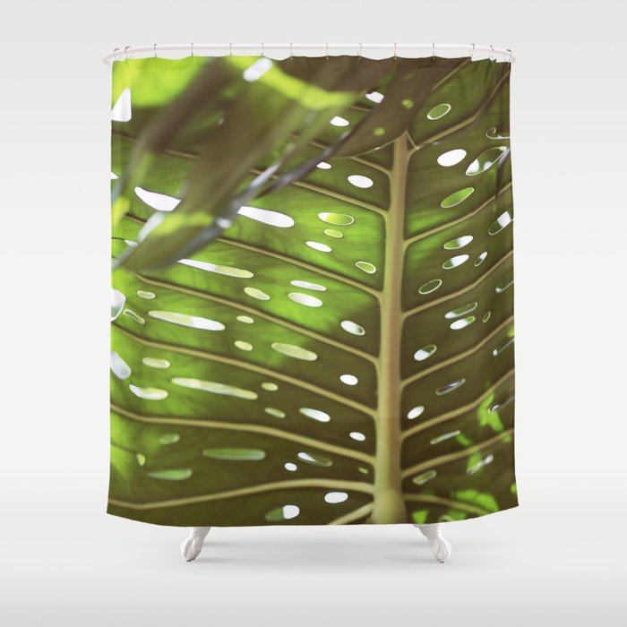 Tropic Light Shower Curtain Gallery Image 1
