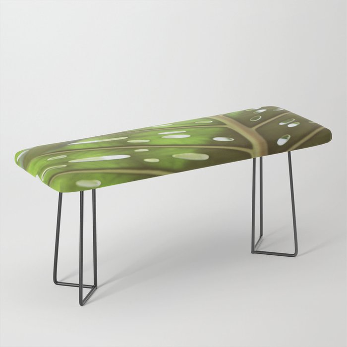 Tropic Light Bench Gallery Image 1