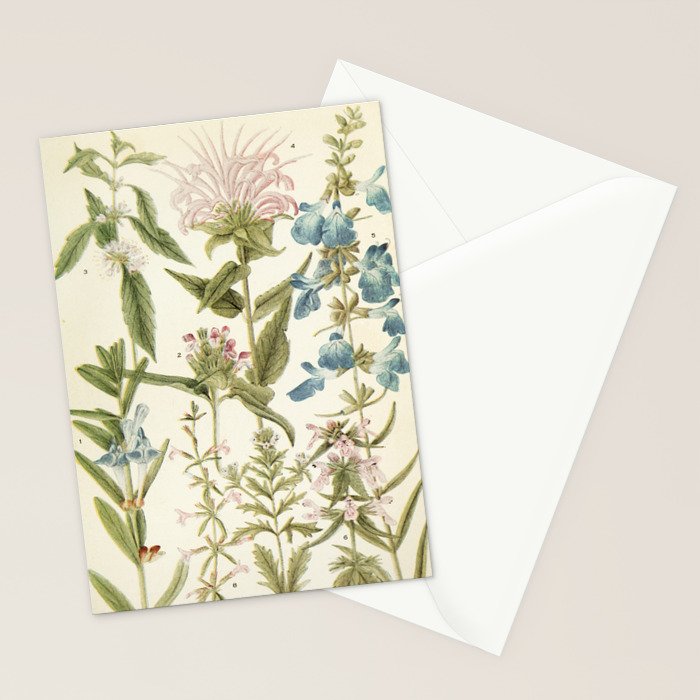 Wildflowers from "Rocky Mountain Flowers" (1914) by Edith Clements (benefitting The Nature Conservancy) Stationery Card Gallery Image 2