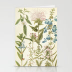Wildflowers from "Rocky Mountain Flowers" (1914) by Edith Clements (benefitting The Nature Conservancy) Stationery Card Gallery Image 2
