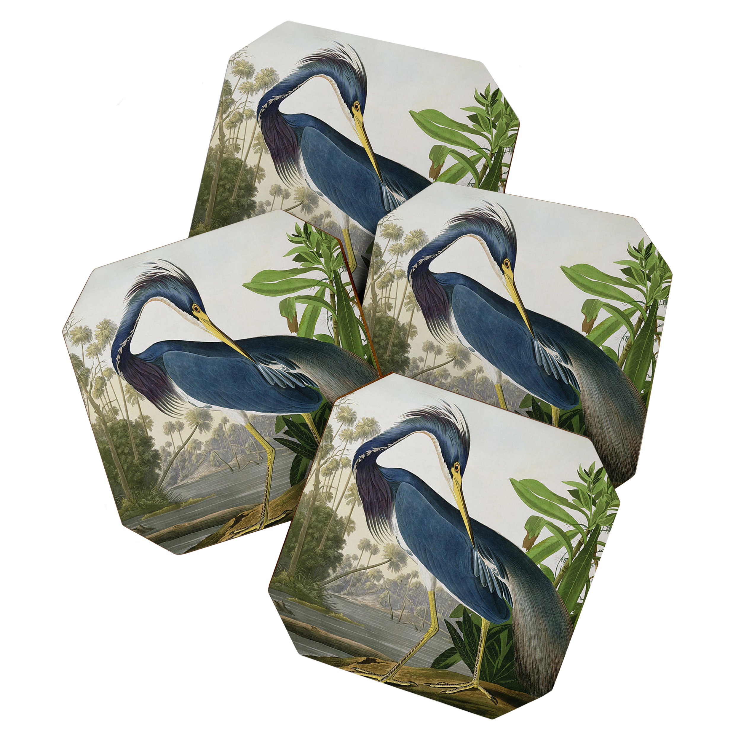 John James Audubon Louisiana Heron Painting Coaster Gallery Image 1