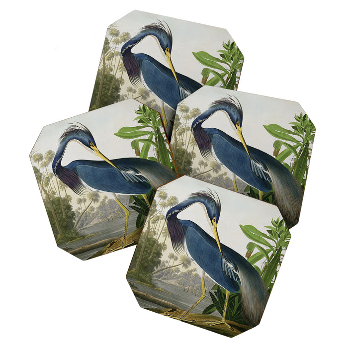John James Audubon Louisiana Heron Painting Coaster Gallery Image 1