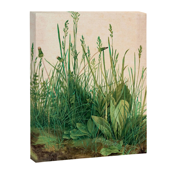 Albrecht Dürer The Great Piece of Turf ,1503 Canvas Print Gallery Image 1