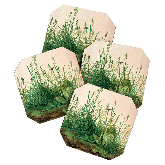 Albrecht Dürer The Great Piece of Turf ,1503 Coaster Gallery Image 1