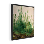 Albrecht Dürer The Great Piece of Turf ,1503 Framed Canvas Print Gallery Image 2