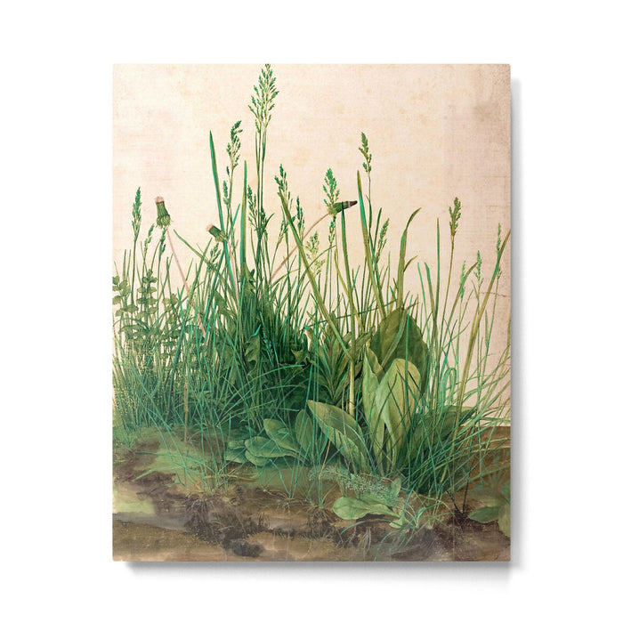 Albrecht Dürer The Great Piece of Turf ,1503 Metal Print Gallery Image 1