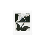 Hilma af Klint The Swan Art Print Gallery Image 1