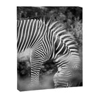 Zebra Abstract Black and White Fine Art Photography Canvas Print Gallery Image 6