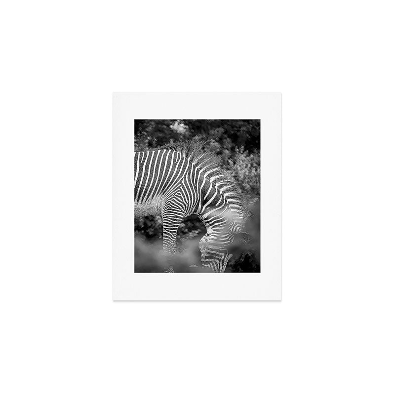 Zebra Abstract Black and White Fine Art Photography Art Print Gallery Image 1