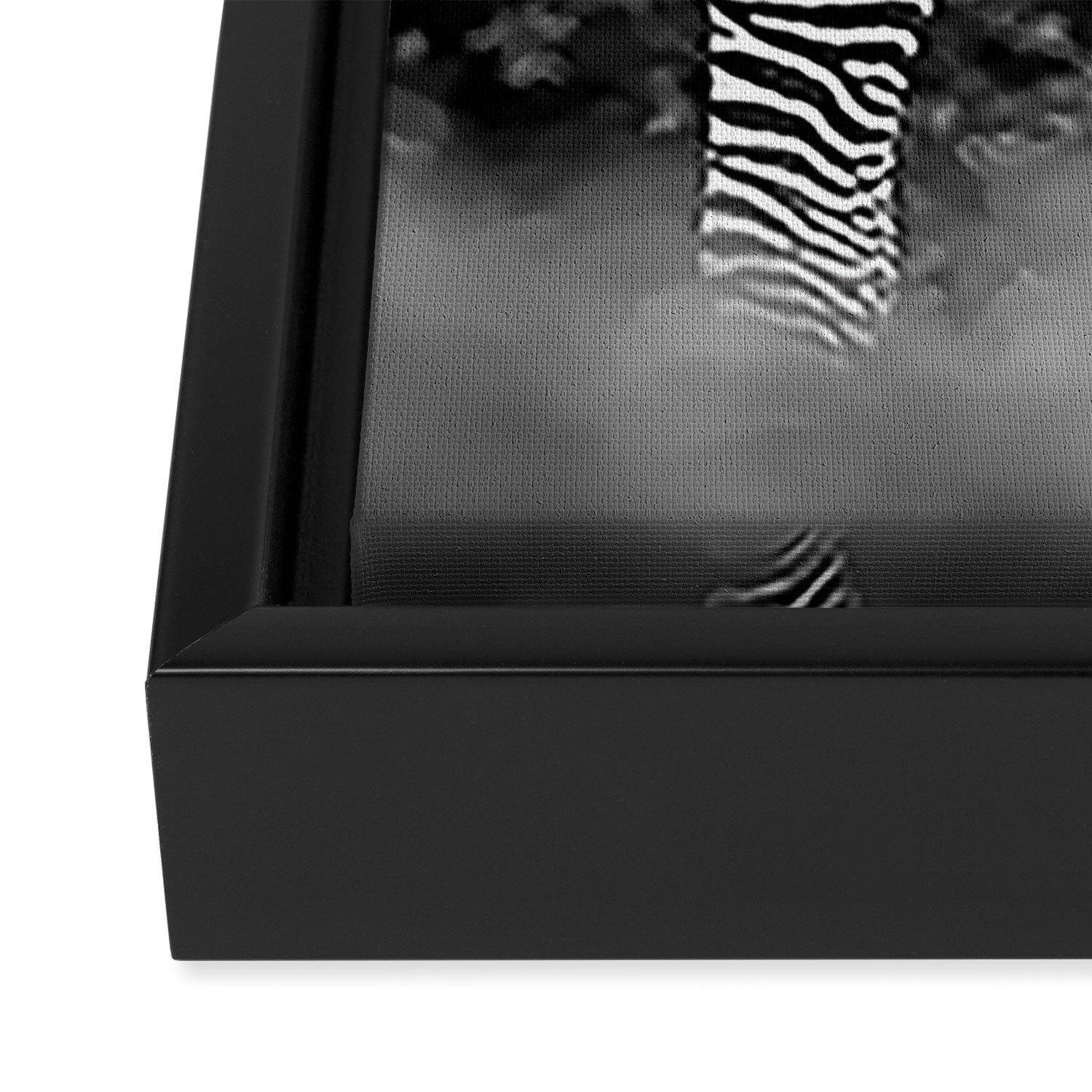 Zebra Abstract Black and White Fine Art Photography Framed Canvas Print Gallery Image 3