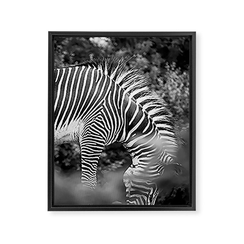 Zebra Abstract Black and White Fine Art Photography Framed Canvas Print Gallery Image 6