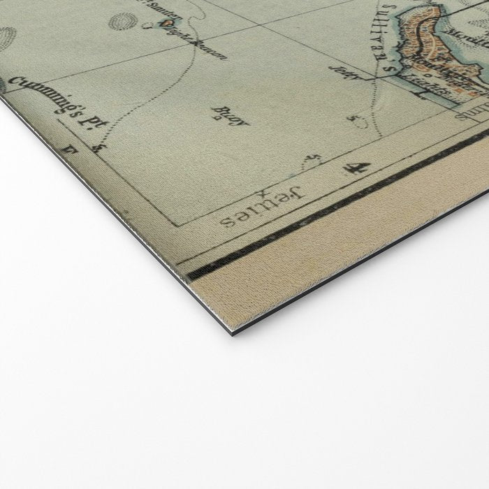 Vintage Map of Charleston SC Harbor (1904) Welcome Mat Gallery Image 2