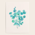 Eucalyptus Poster Gallery Image 4