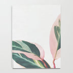 Pink Leaves II Notebook Gallery Image 4