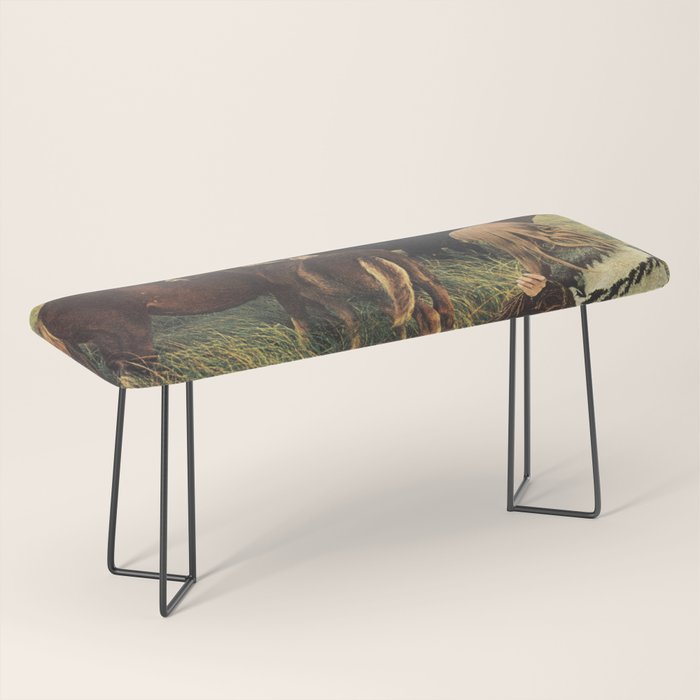 Second Summer Bench Gallery Image 1