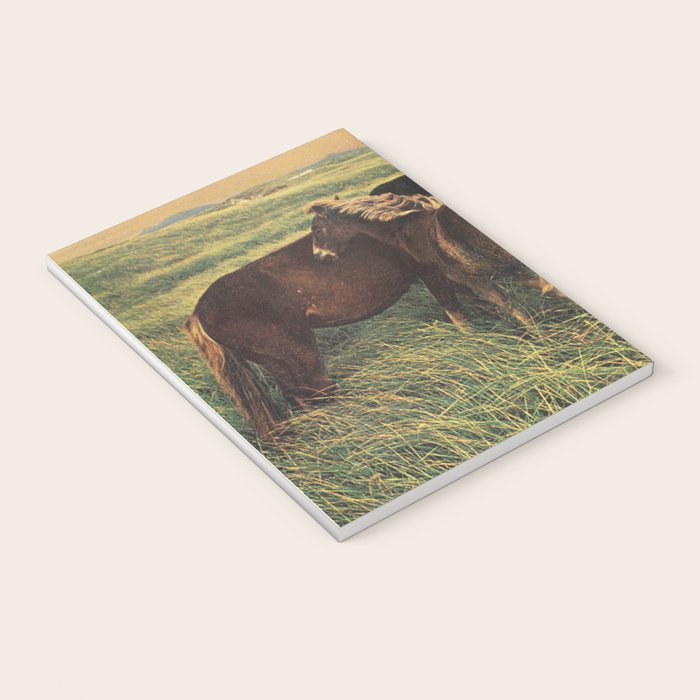 Second Summer Notebook Gallery Image 3