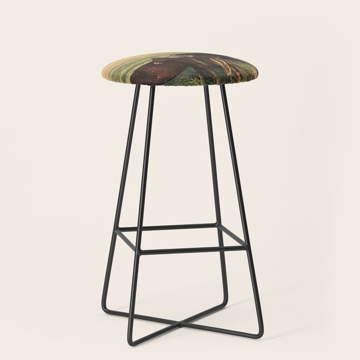 Second Summer Stool Gallery Image 1
